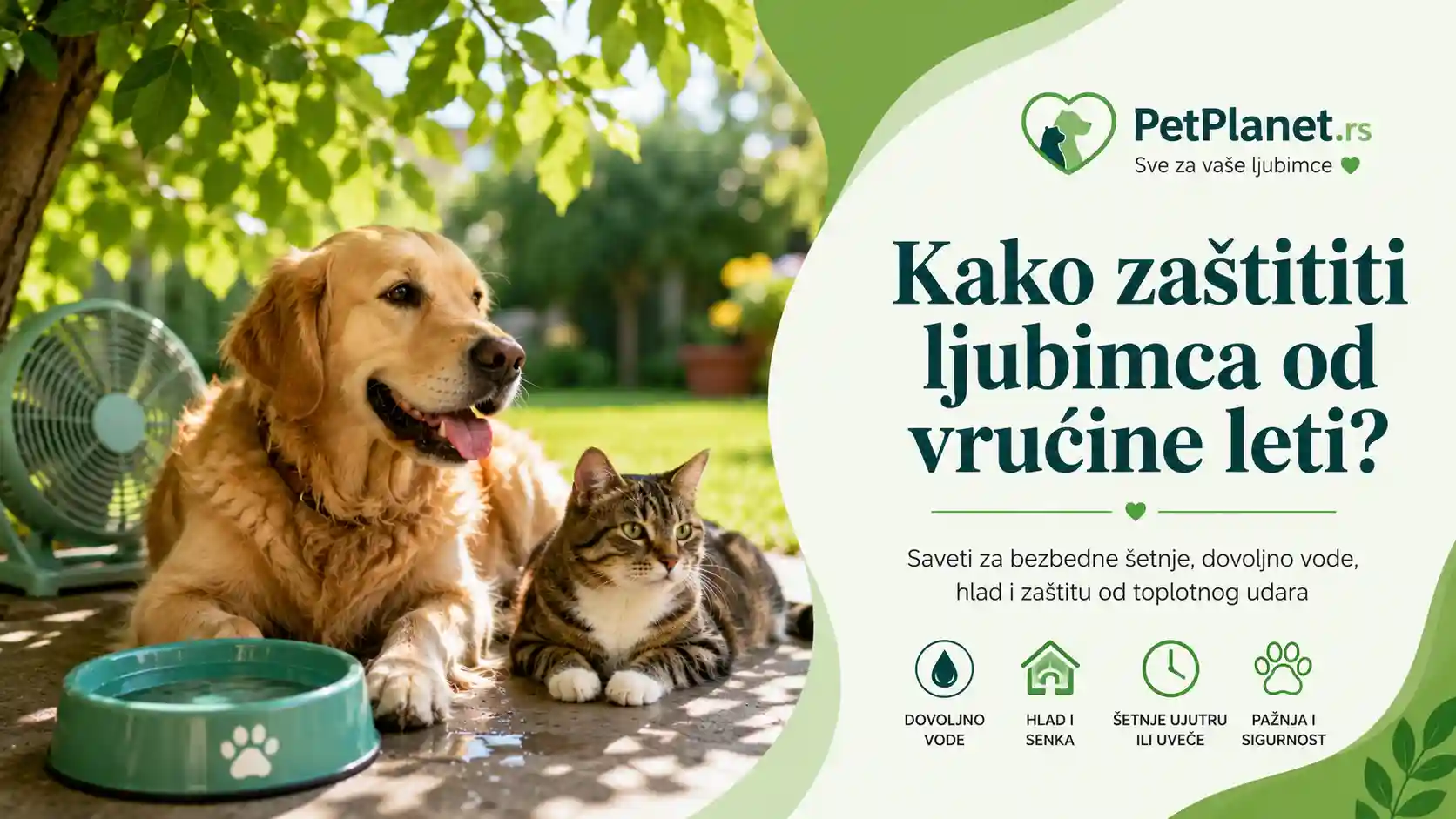 Kako zaštititi ljubimca od vrućine leti?