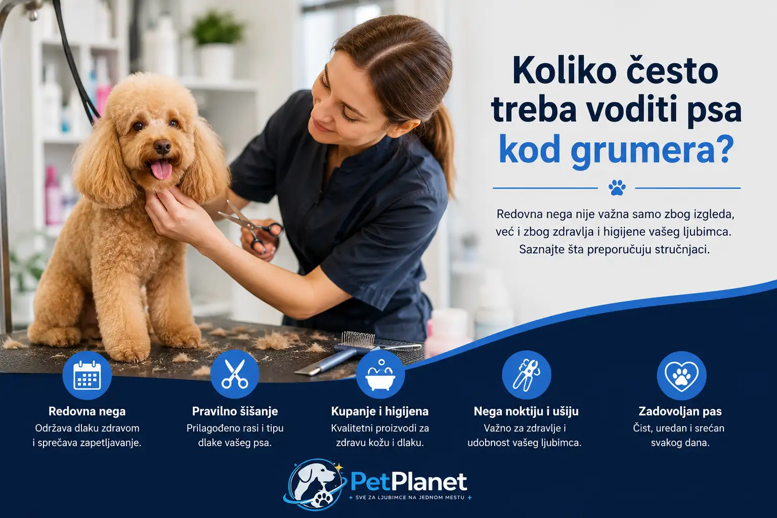 Koliko često treba voditi psa kod grumera