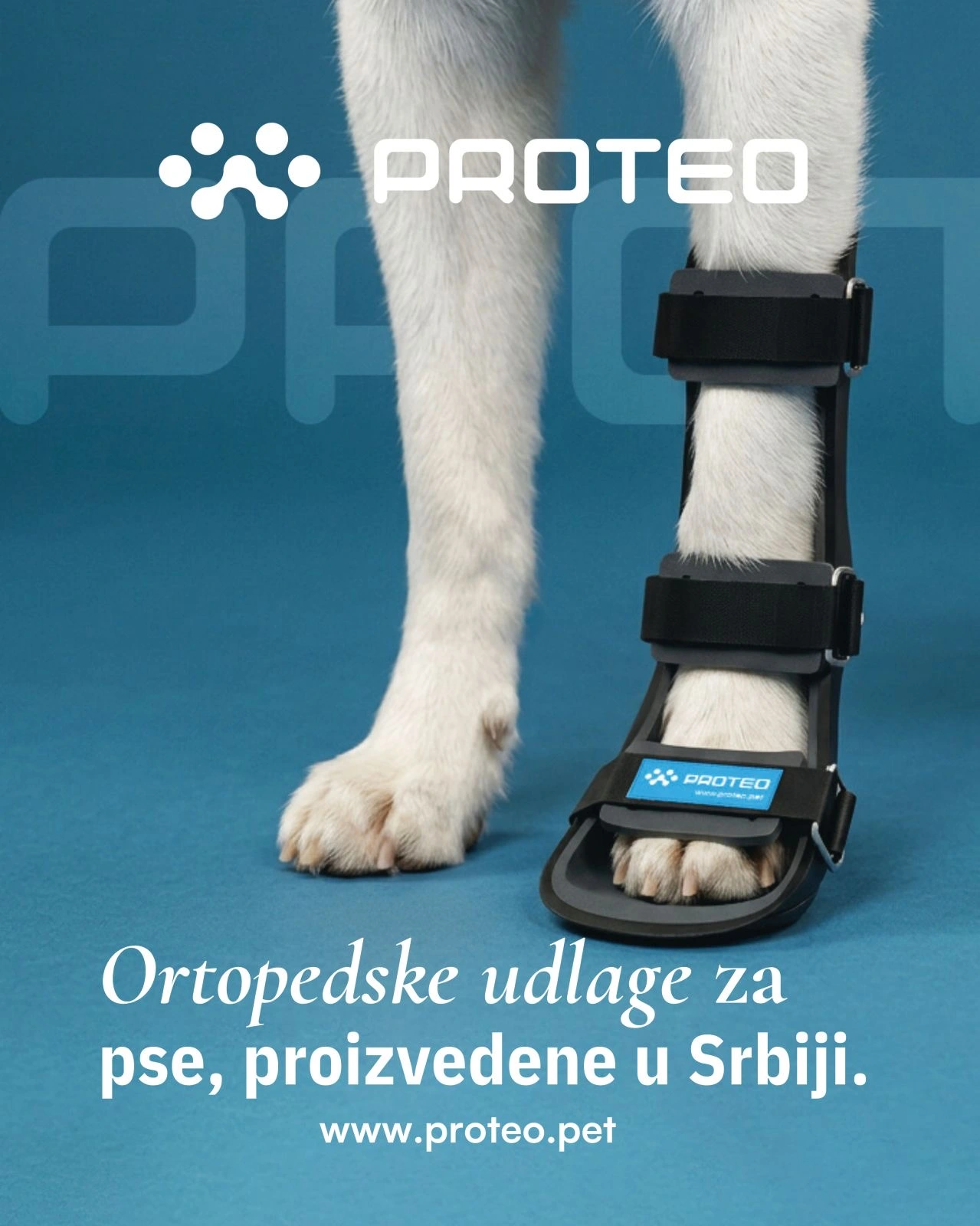 Ortopedske udlage za pse, proizvedene u Srbiji - Novi Sad