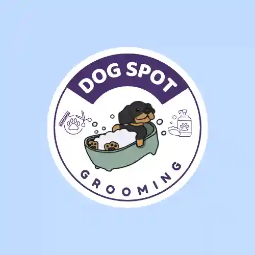 Dog Spot Grooming salon za negu pasa Novi Sad Liman 4