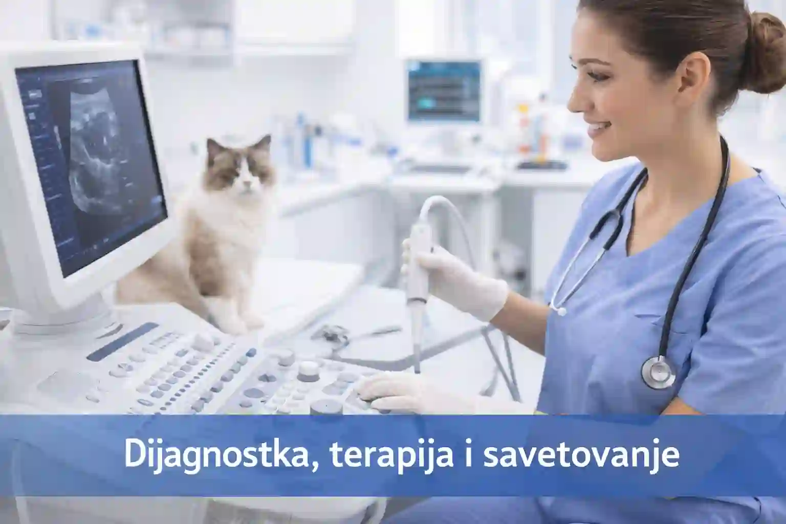 Dijagnostika, terapija i savetovanje