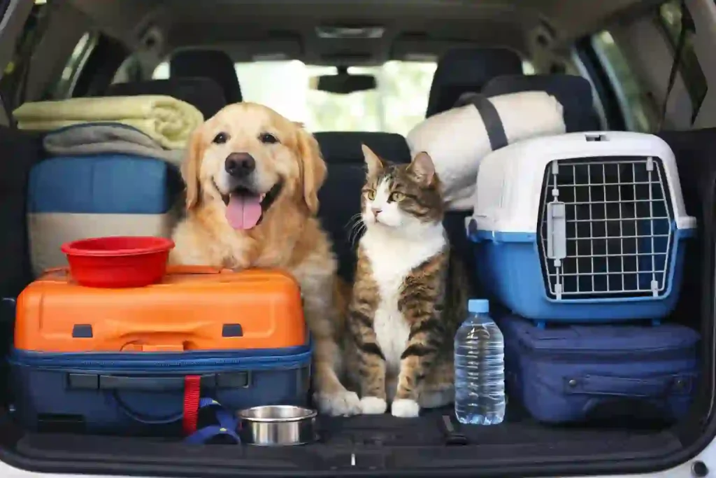 Kako pripremiti ljubimca za put